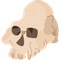 Community icon