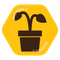 Community icon