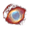 Community icon