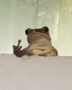Community icon