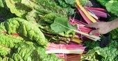 The $10 trillion benefits of overhauling our food system
