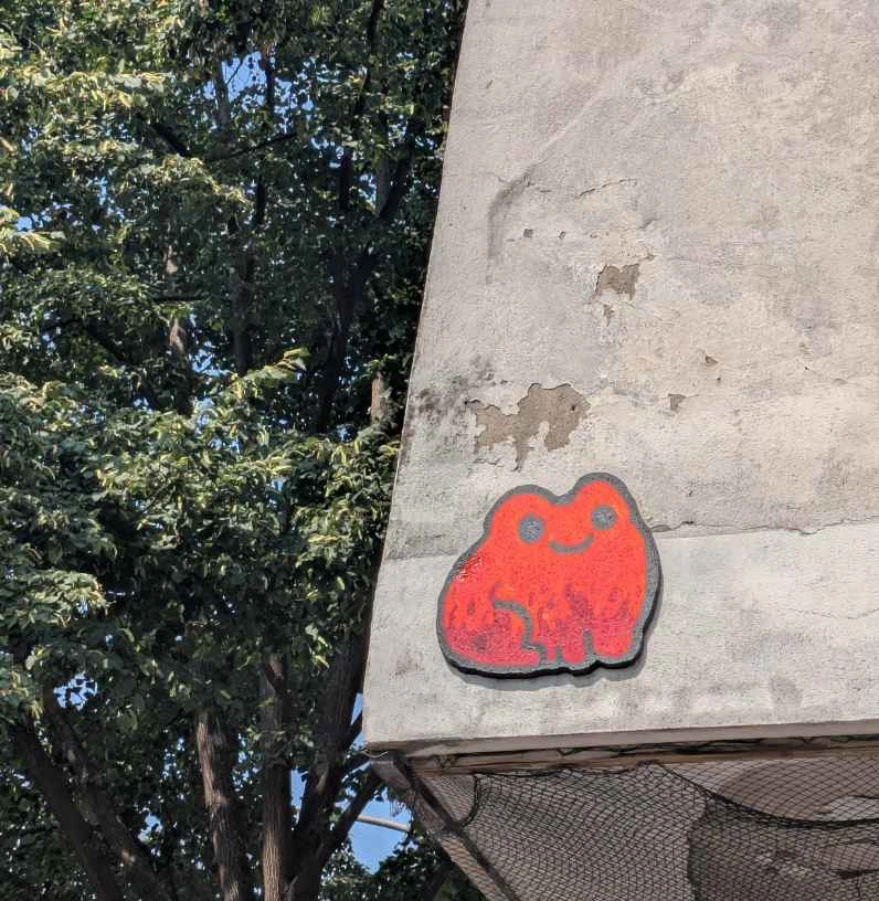 Neon orange & Red Frog high up on a grey wall in front of grean foliage