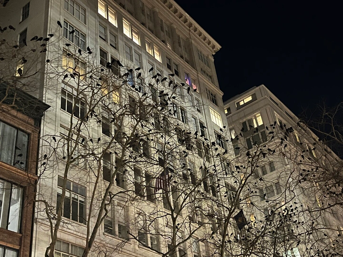 b (@jimsonweed@pixelfed.social)