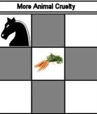 More animal cruelty