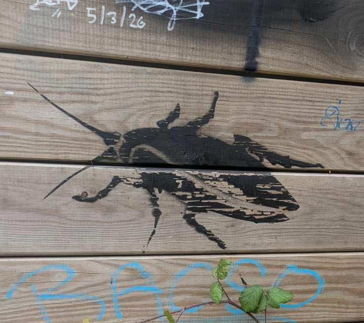 cockroach spray painted with black color and the help of a stencil, on wood, surrounded by tags