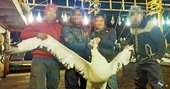 China’s Pacific squid fishery rife with labor, fishing abuses: Report