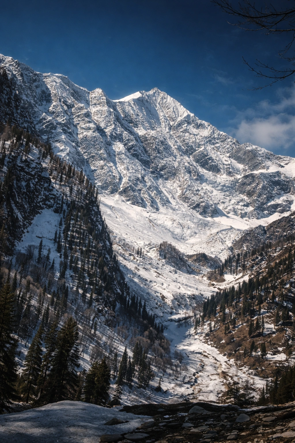 Mountain view