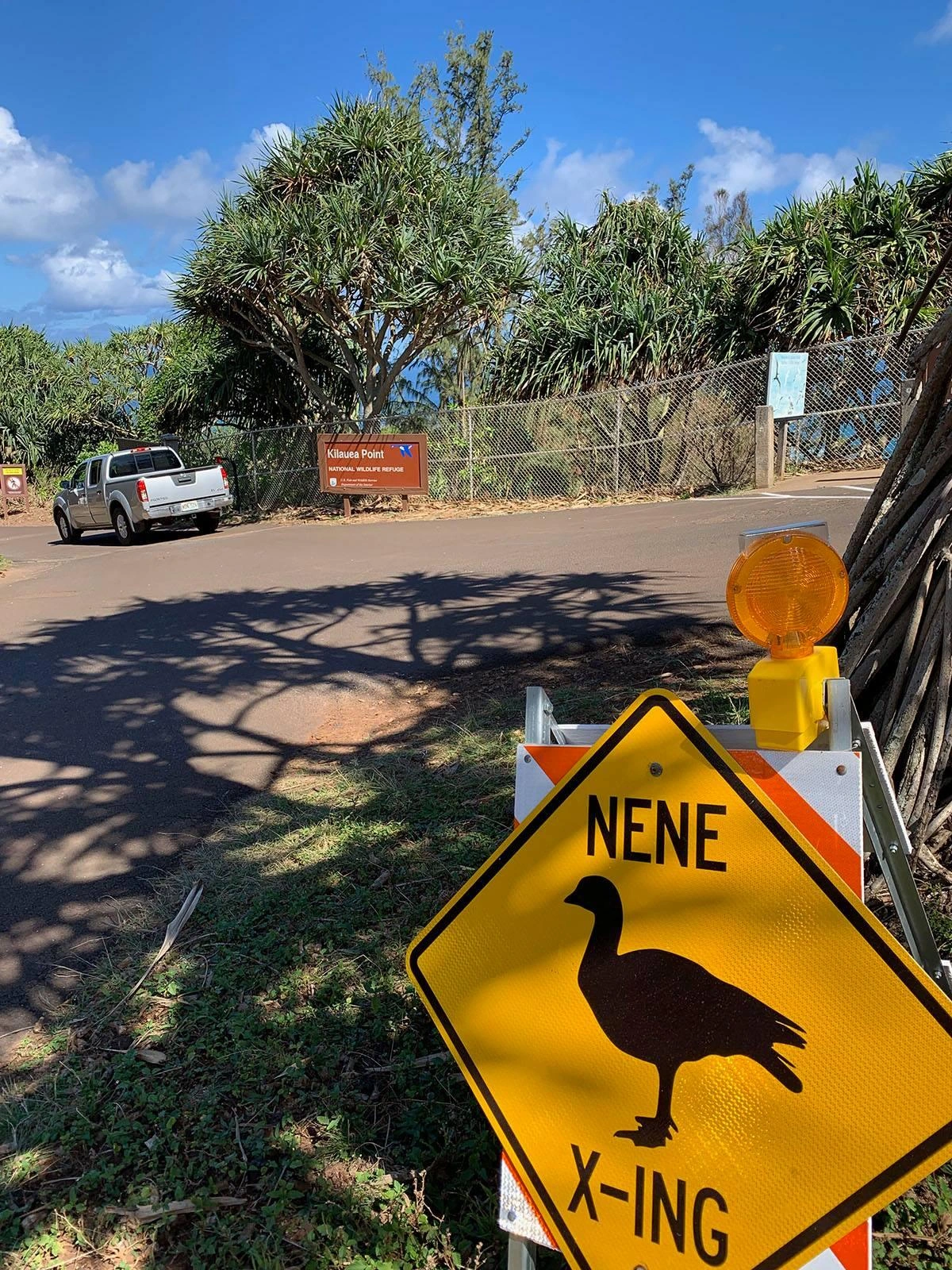 In the parking area for Kilauea Point with a NENE CROSSING warning sign in the foreground, with a black image of the bird's shape on a yellow background.