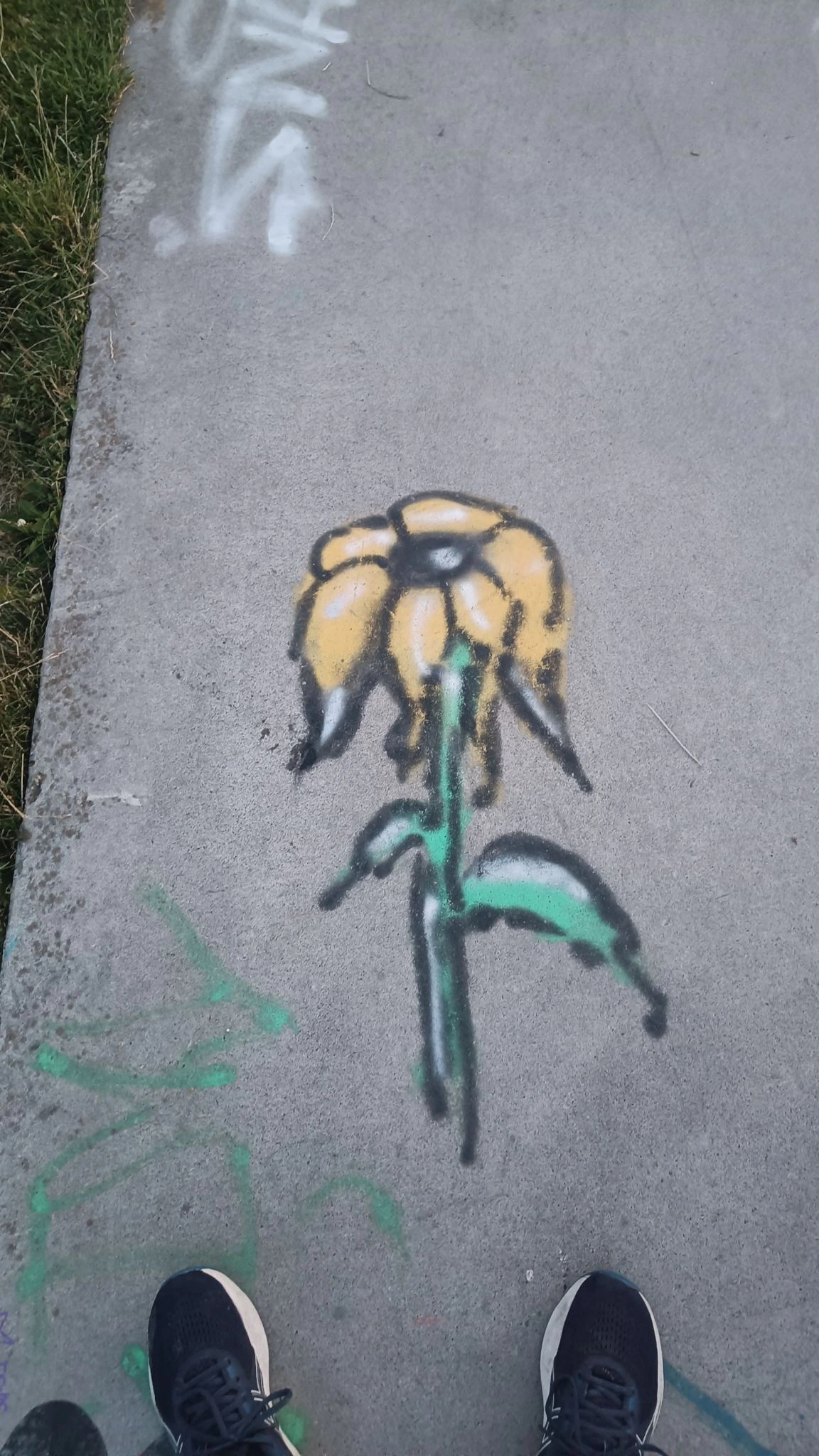 A picture of a flower painted on the ground at a local skate park