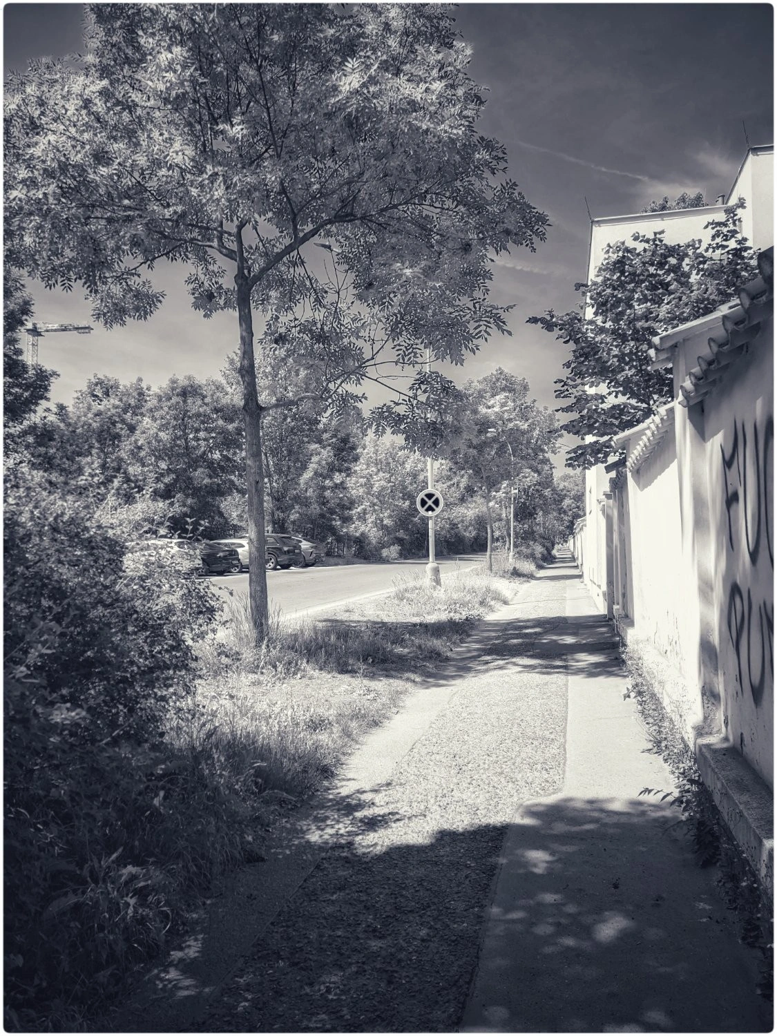 A path leads to a street with a no entry sign, a tree on the left, and a graffiti building on the right.