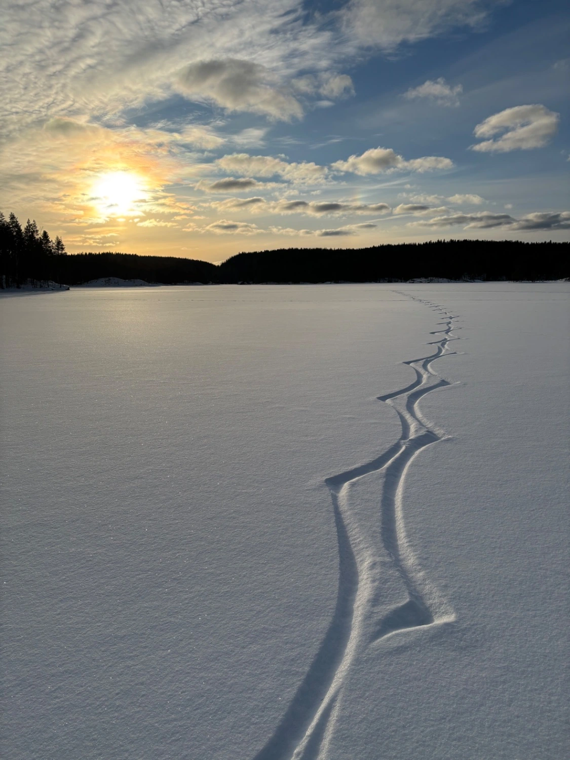 a frozen lake with fluffy snow-- the only tracks are off a skater. black tree line, weak sun behind light clouds. 