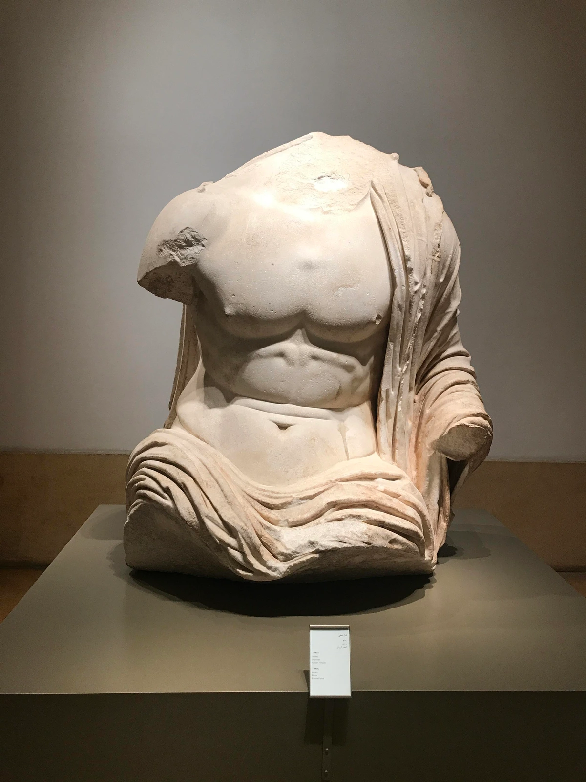 sitting bare-chested torso of a man with a robe covering the pelvic area and draped over the left shoulder