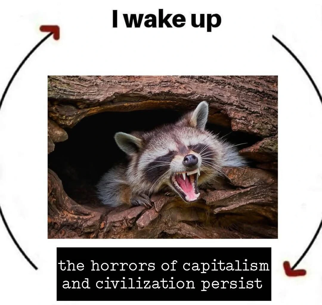 'I Wake Up' circular arrow points down to 'The horrors of capitalism and civilization persist' which loops back to the top in a cycle. In the middle is an angry and/or yawning raccoon