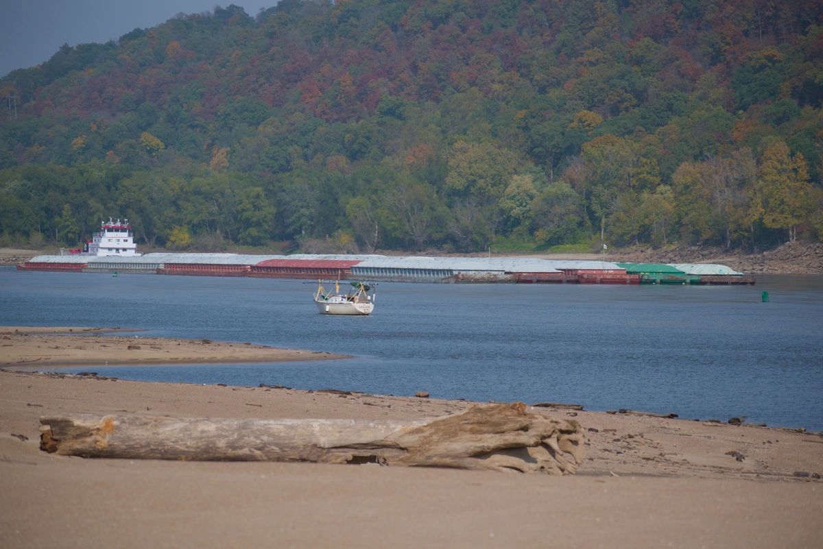 A small sailboat with it's mast down being passed by a large river barge on a narrow point of the Mississippi. A large log site on a beach in the foreground.