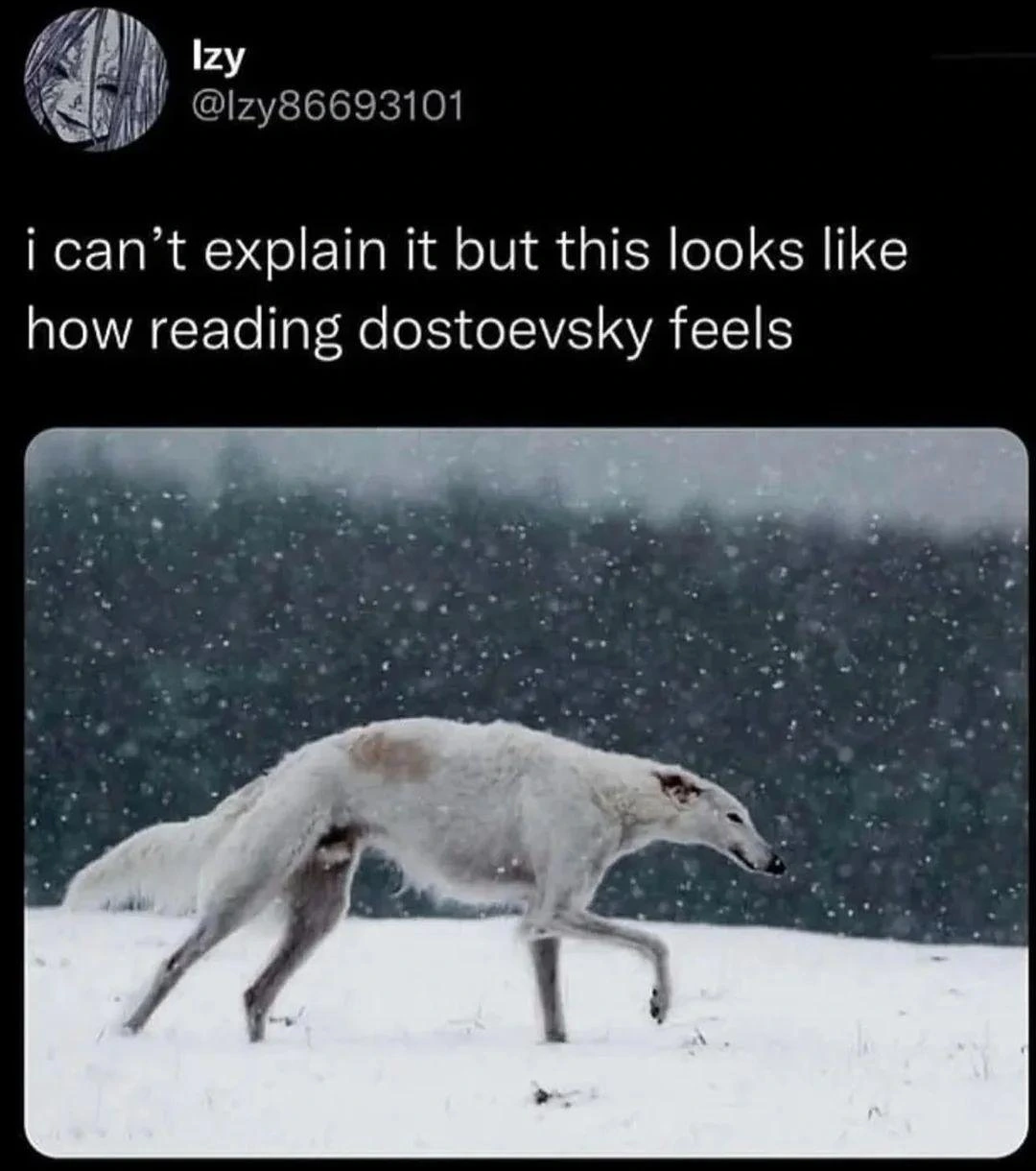 Post by Izy

Photo of what I think is some kind of arctic fox struggling it's way across a barren snowy landscape.

Caption: i can’t explain it but this looks like how reading dostoevsky feels
