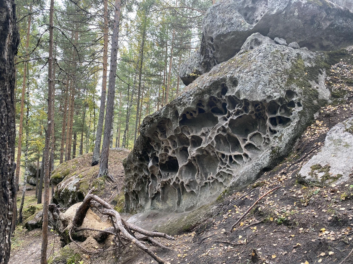A strange rock formation found deep in the forest