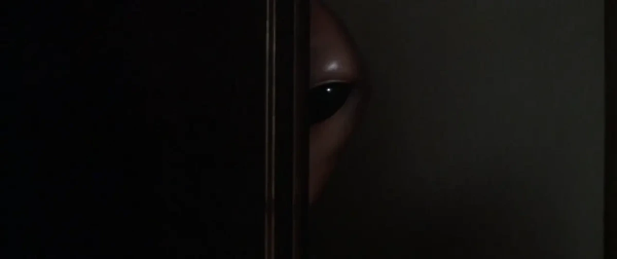 A grey extraterrestrial's face is half-visible from behind a closet door