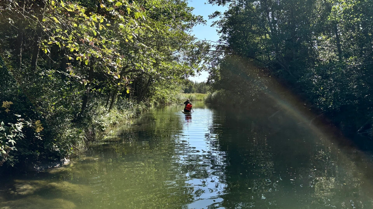 Photo from a tiny overgrown channel with a couple of paddleboards calmly heading through.