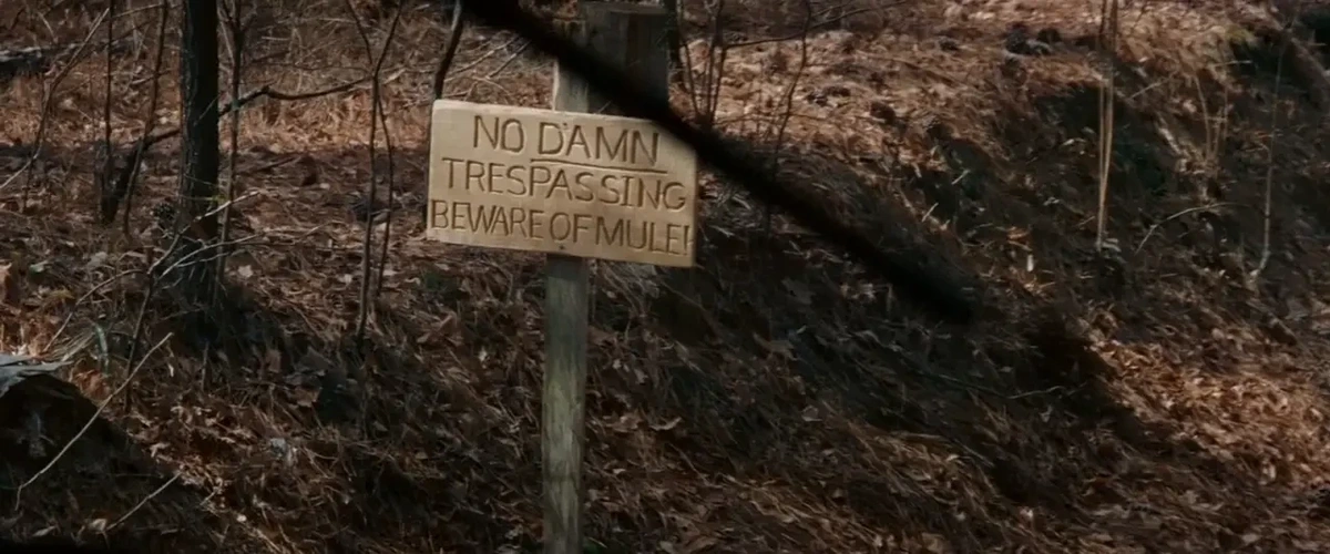A wooded area with a sign post that reads "NO DAMN TRESPASSING" "BEWARE OF MULE"