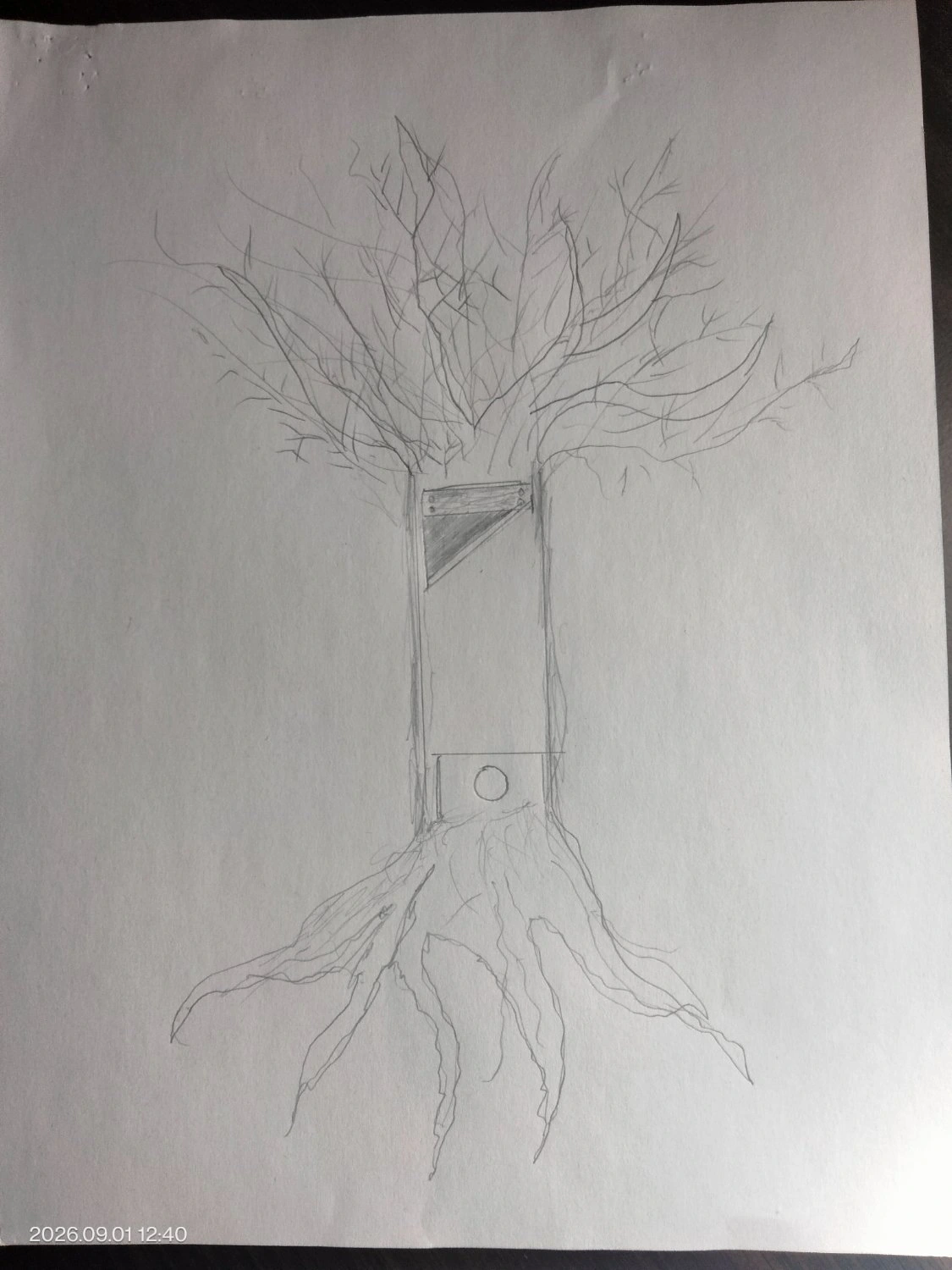 The Tree of Liberty.