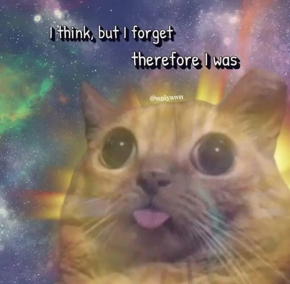 Picture of a semi-transparent stupid looking orange cat in front of a space background captioned: "I think, but I forget therefore I was"