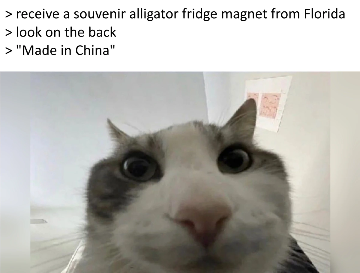 "Cat Looks Inside" meme, with captions that say: 1. receive a souvenir alligator fridge magnet from Florida. 2. look on the back. 3. "Made in China".
