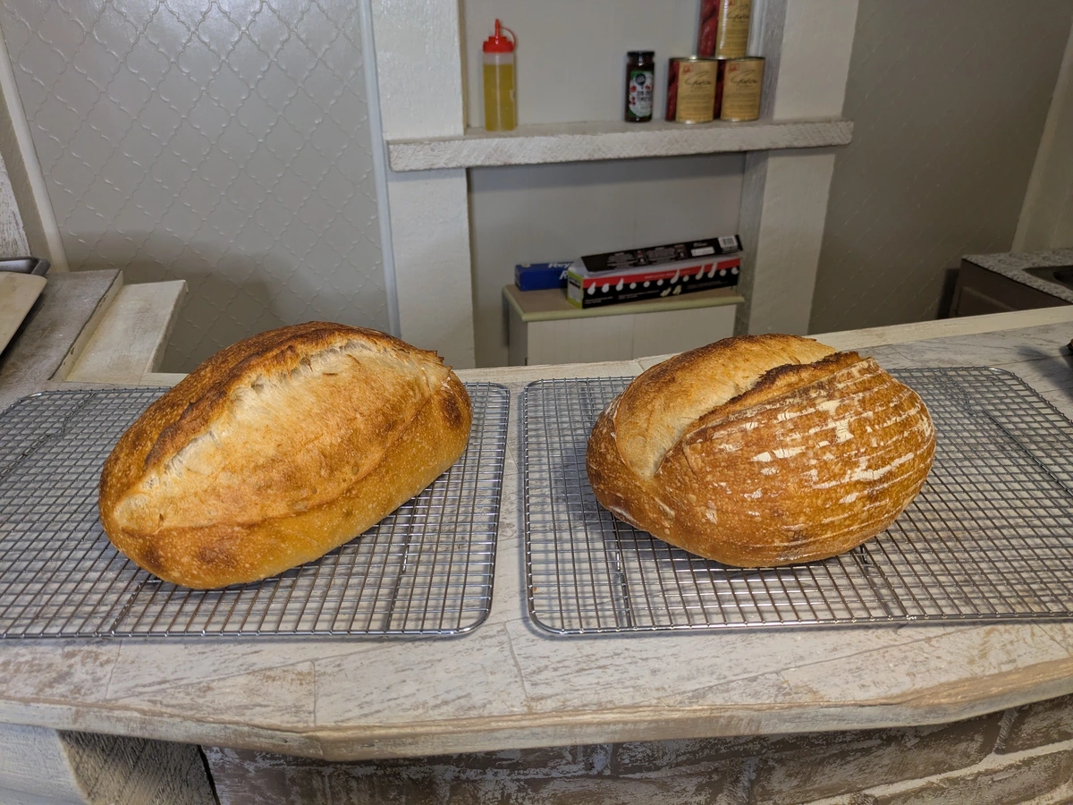 two loaves of bread on a counter 