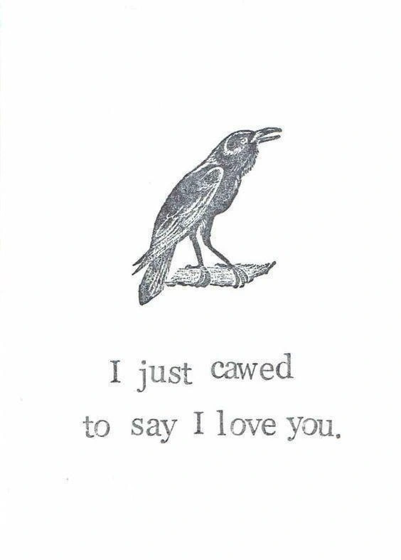 a drawing of a crow, accompanied by text: “i just cawed to say I love you”