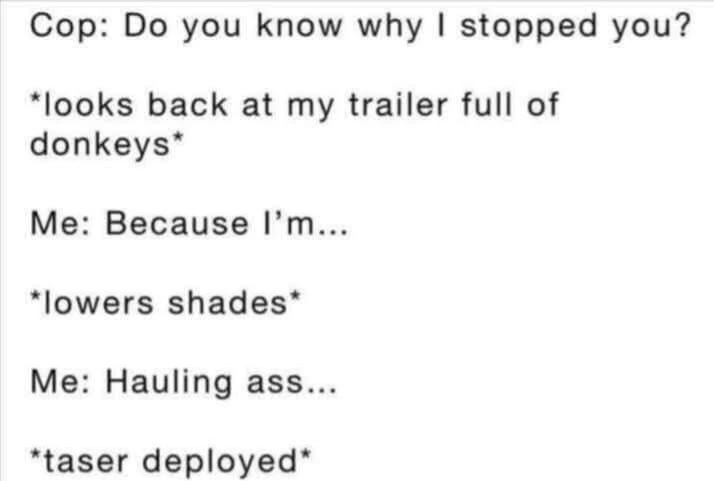 Shots fired