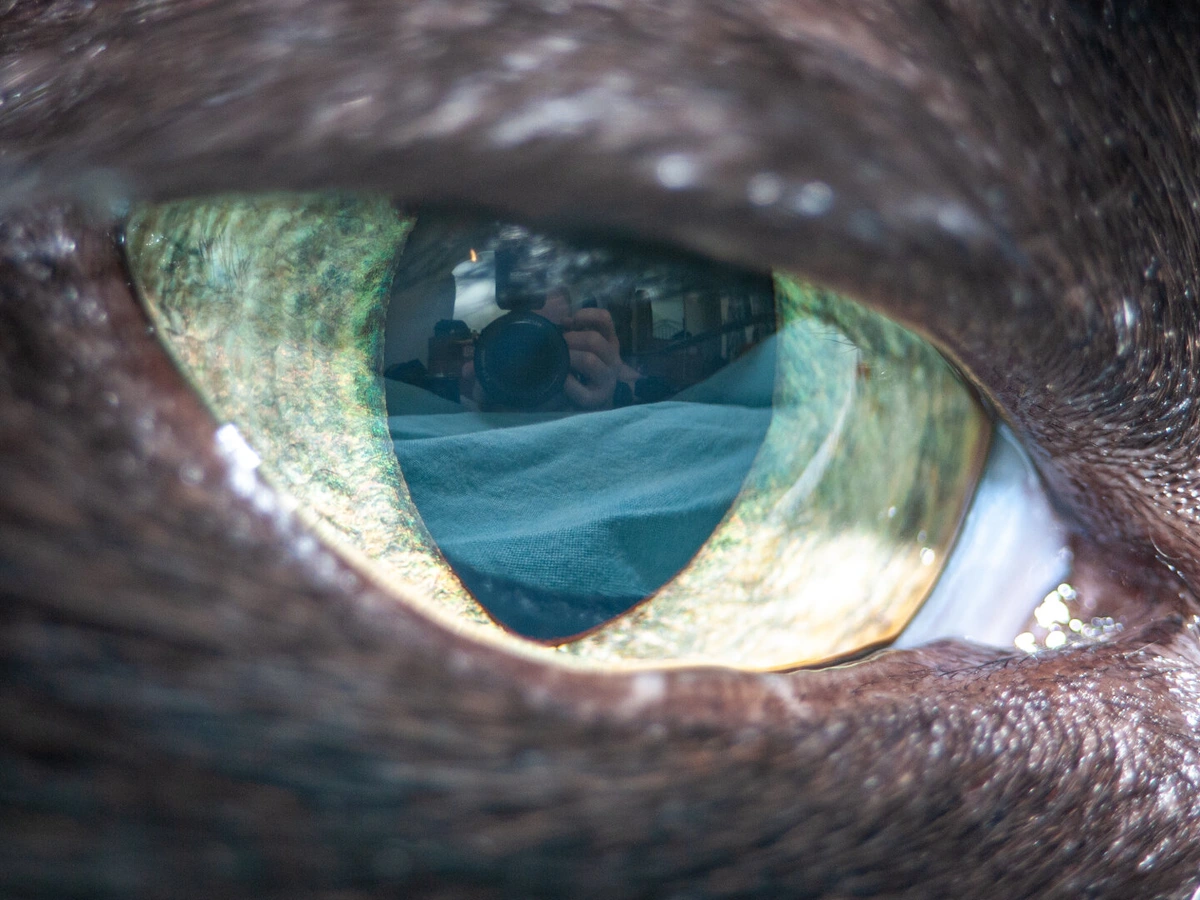 Tom (@struds@pixelfed.social)