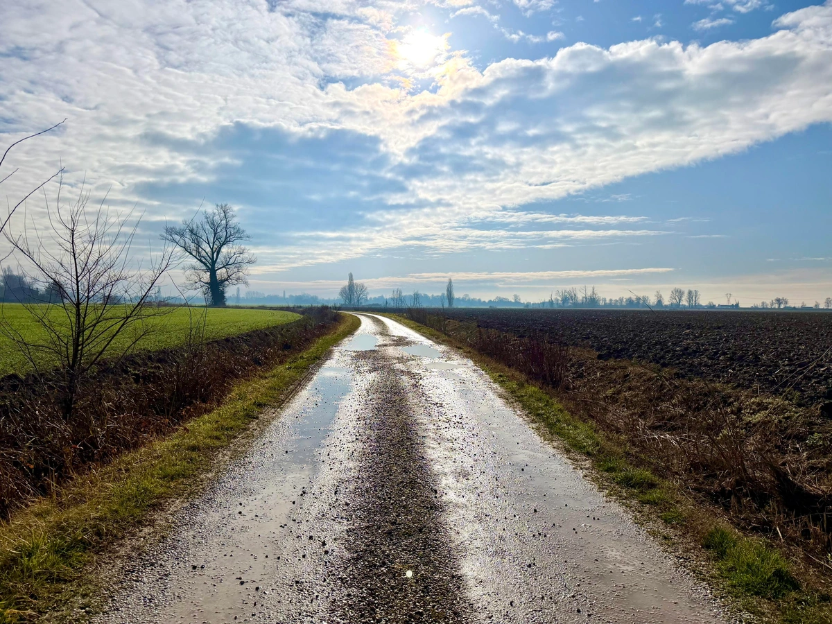 Country dirt road after the rain, with puddles reflecting the sky. The path stretches toward the horizon between green fields and freshly plowed land, under light clouds with sunlight breaking through. Calm, soothing atmosphere, taken during a relaxing walk two hours ago.