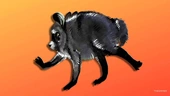 D&D Has Officially Made Jimothy The Raccoon A Cryptid