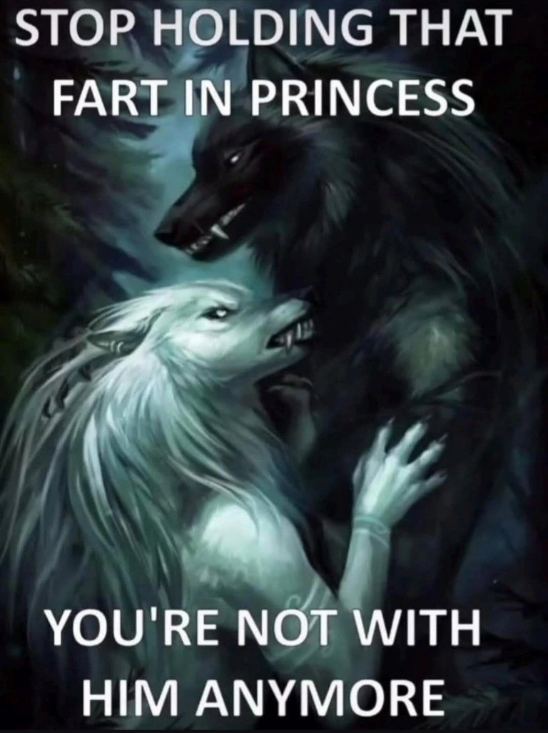 A photo of a white wolf and black wolf embracing with the text overlaid saying "stop holding that fart in princess you're not with him anymore"