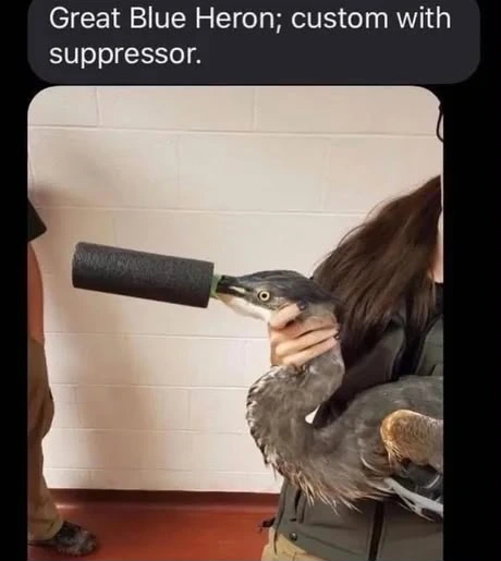 Heron