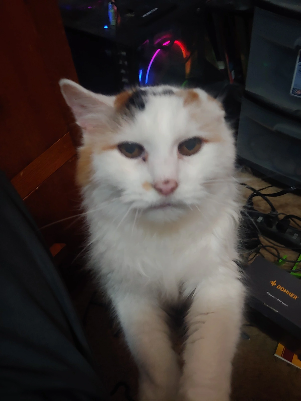 My old lady