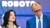 "Wir erleben palliative Industriepolitik"