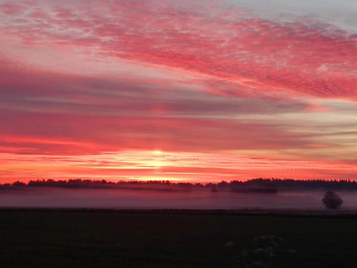 Photo of a foggy field above which the clouds have taken on a lot of diffrent pink hues as the sun shines in from below.
