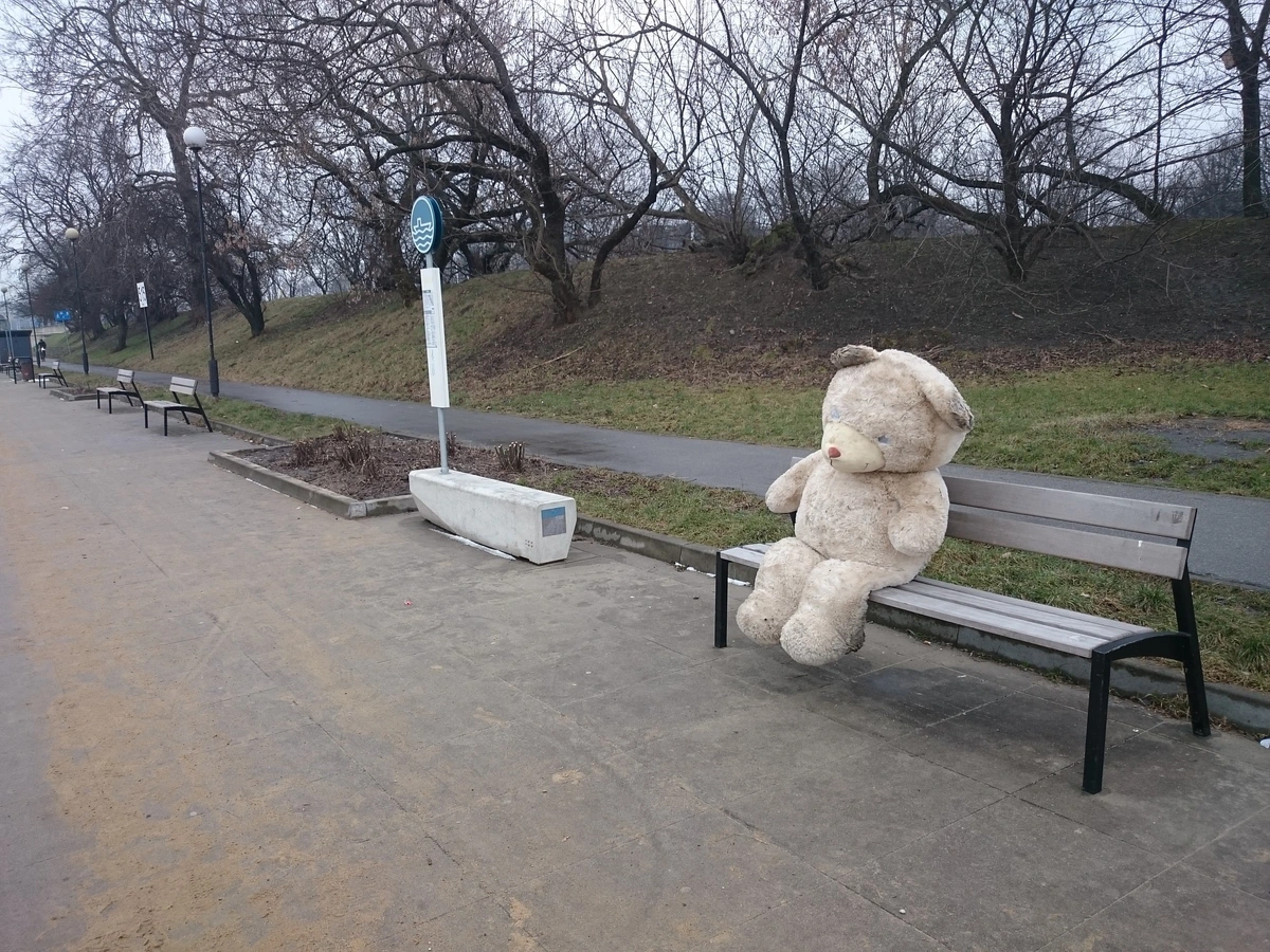 Bear