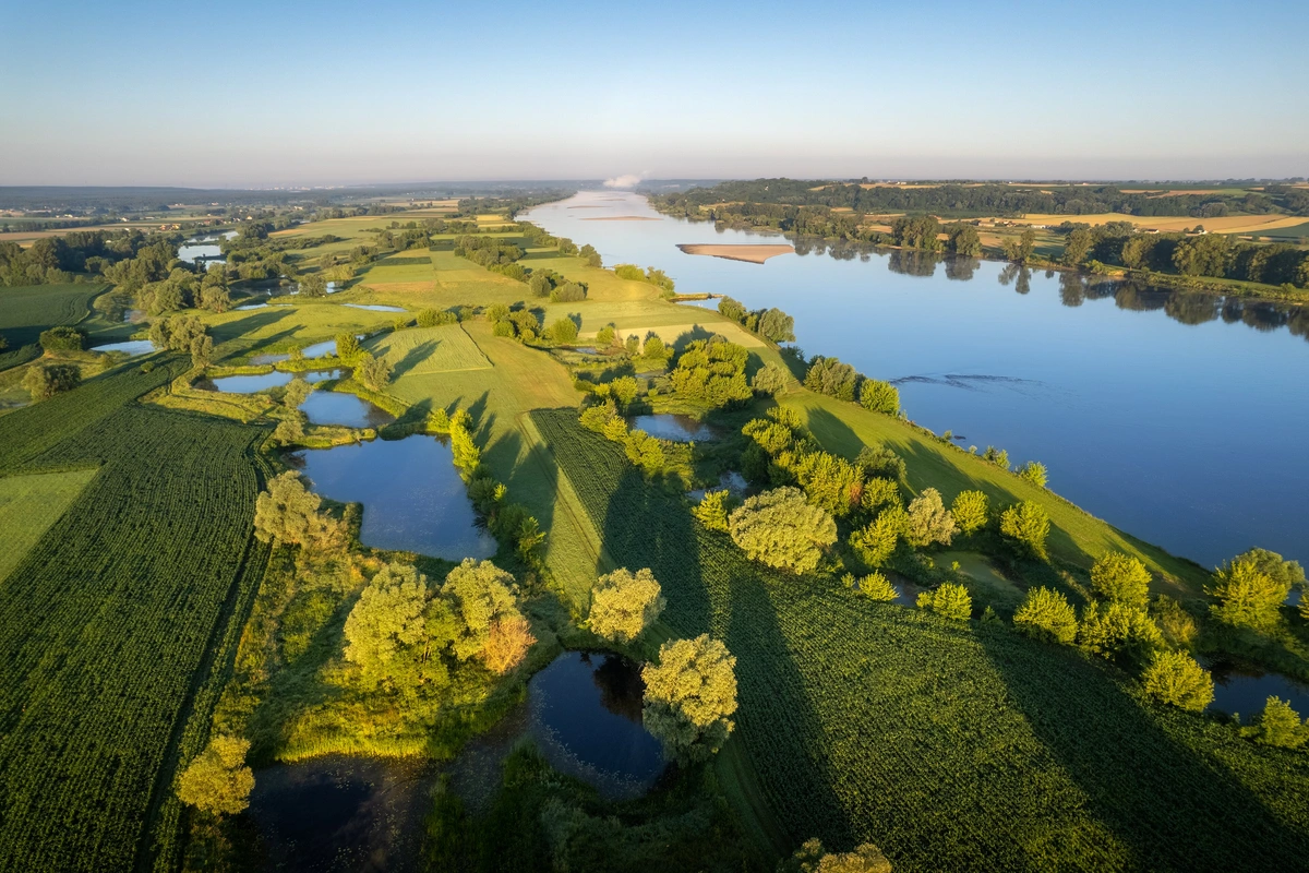 The Lower Vistula Valley in Kokocko, Poland