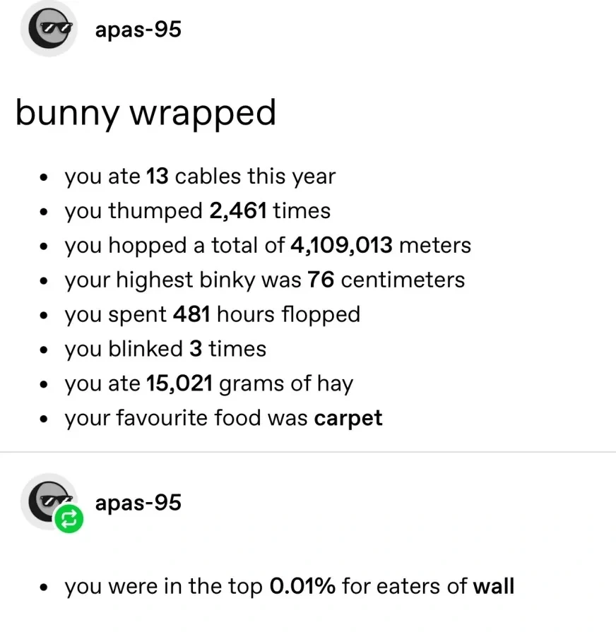 bunny wrapped: you ate 13 cables this year. you thumped 2,461 times. you hopped a total of 4,109,013 meters. your highest binky was 76 centimeters. you spent 481 hours flopped. you blinked 3 times. you ate 15,021 grams of hay. your favourite food was carpet. You were in the top 0.01% for eaters of wall