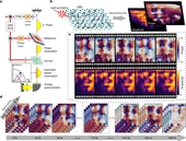 Superluminal correlations in ensembles of optical phase singularities - Nature
