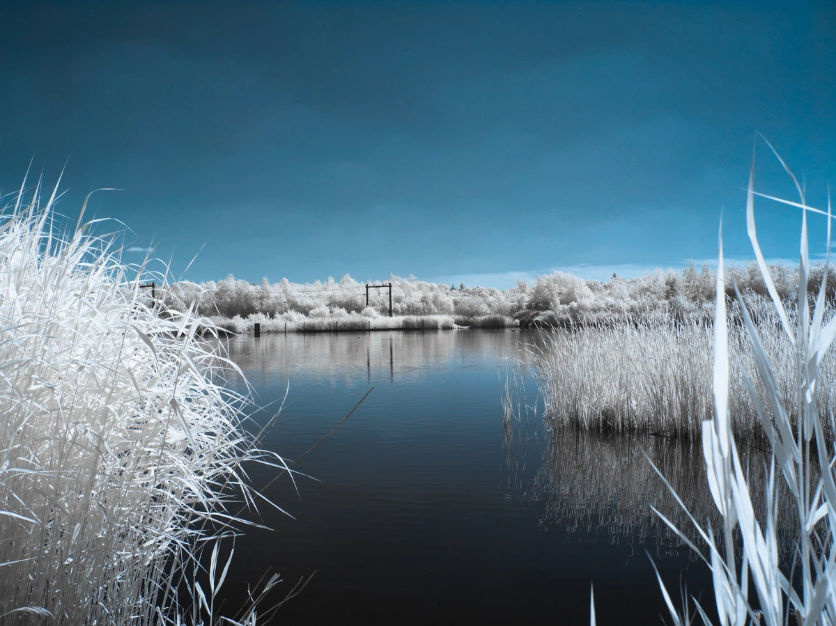 False colour IR image, with blue skies and sky reflections, bright white foliage. The image shows a train line cutting through foliage, reflected into the water in front
