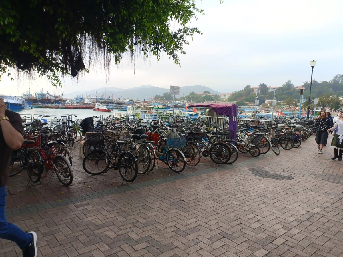Hundreds of bicycles next to the shore