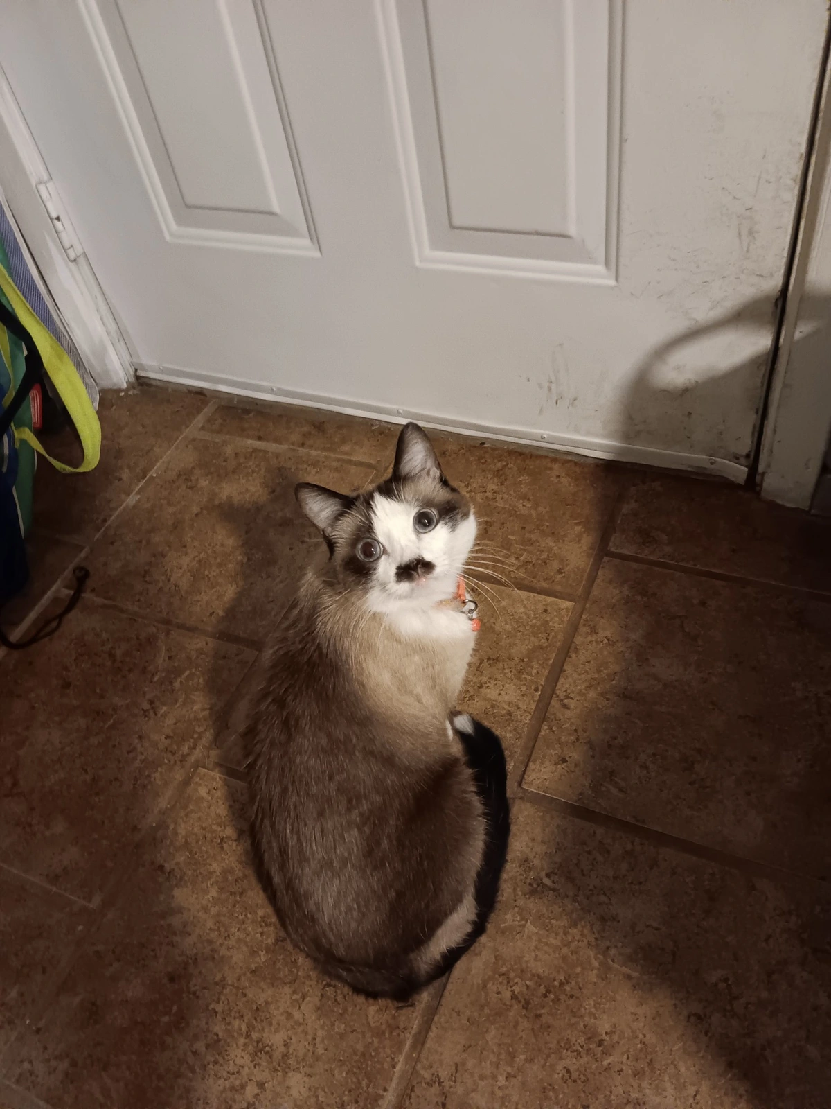 Please tell her she doesn't want to go out there