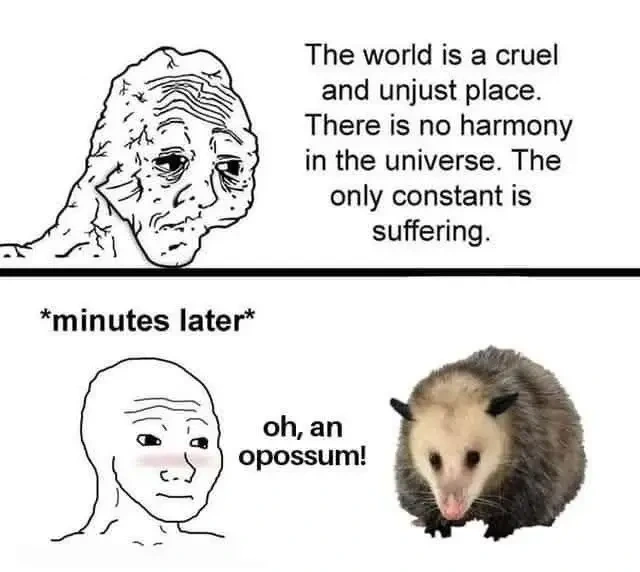 A two panel comic. The first panel shows a depressed cartoon man stating, "The world is a cruel and unjust place. There is no harmony in the universe. The only constant is suffering." The second panel shows the same man who is elated upon seeing an opossum, exclaiming, "Oh, an opossum!" There is a blush on his face.