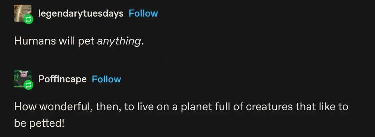 A tumblr post by @legendarytuesdays: Humans will pet anything. @Poffincape on tumblr replies with: How wonderful, then, to live on a planet full of creatures that like to be petted!
