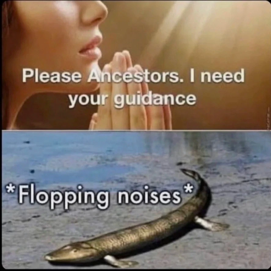 Solid advice