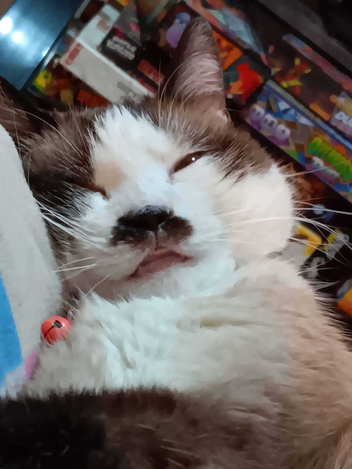 Mouth breather