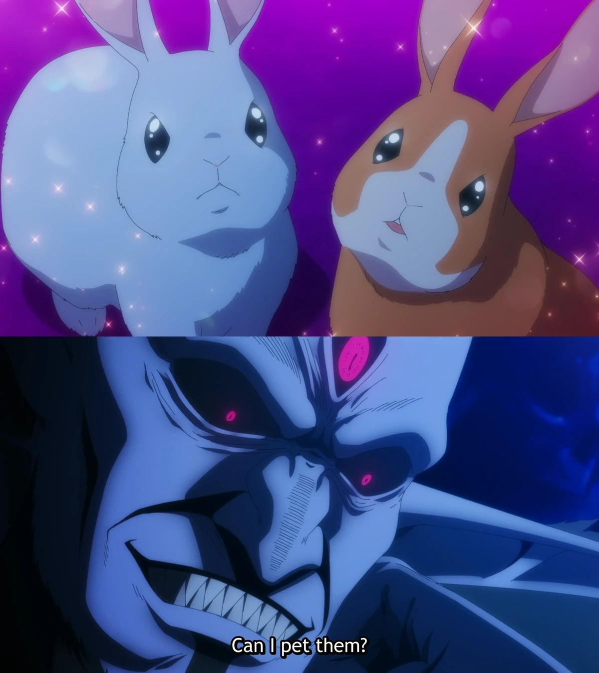 *Sees cute bunnies*: Can I pet them?