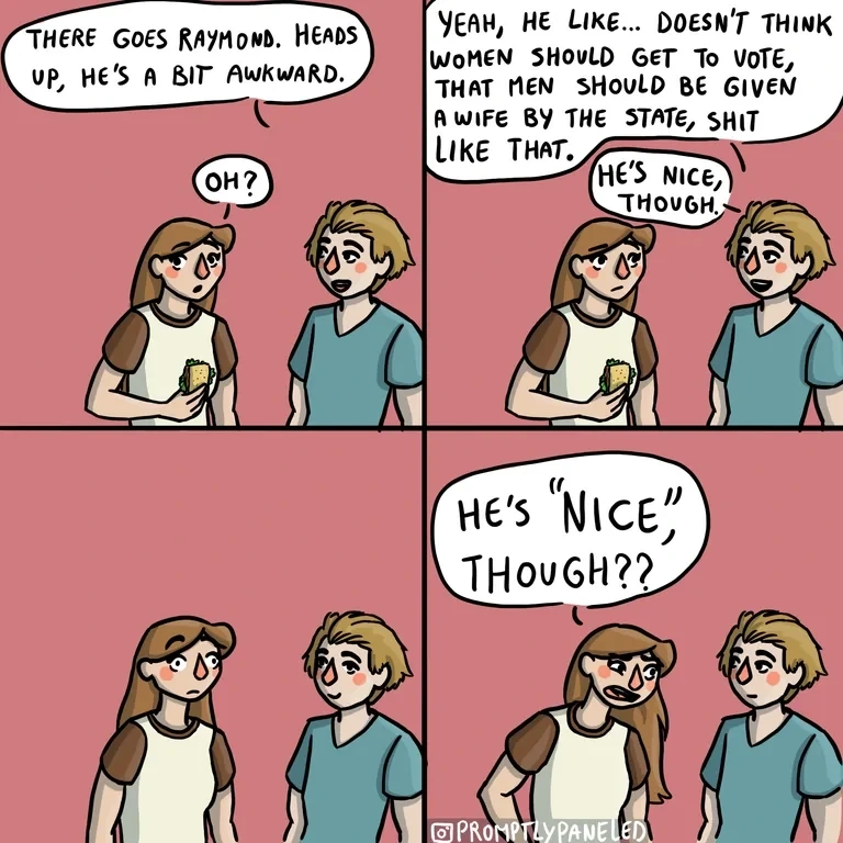 **Alt text:** A four-panel comic where a person warns a friend that "Raymond" holds misogynistic views, but insists he is "nice," prompting the friend to react with shocked disbelief.